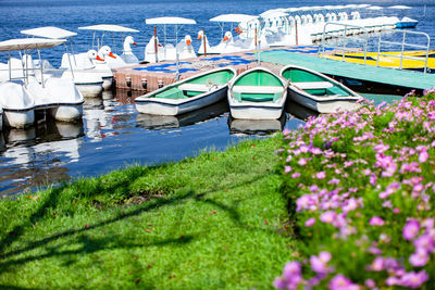 Scenic view of lake