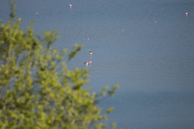High angle view of man at beach