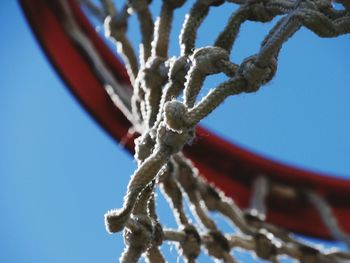 Low angle view of frozen tree against sky