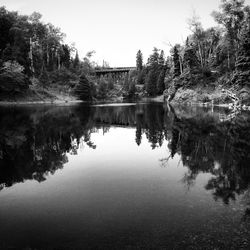 Reflection of trees in water