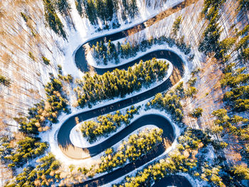 Aerial view of winding road amidst tress