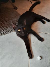 High angle view of black cat on floor at home