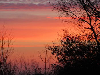 Silhouette trees against dramatic sky during sunset