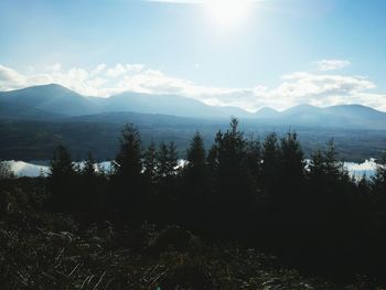 Scenic view of silhouette forest against sky