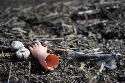 Close-up of abandoned toy on field