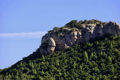 Rock formation amidst trees against sky