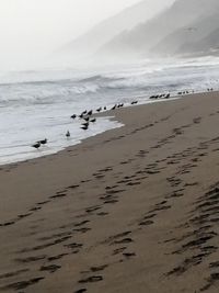 Scenic view of beach against sky