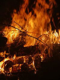 Close-up of bonfire at night