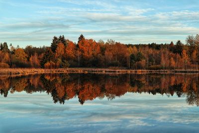 Reflection of trees in lake against sky during autumn