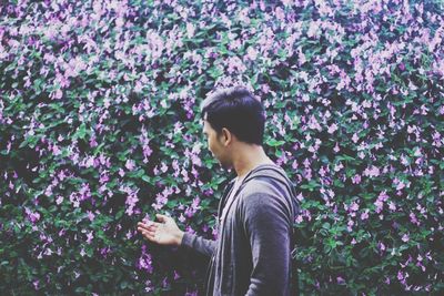 Side view of man touching purple flowering plants