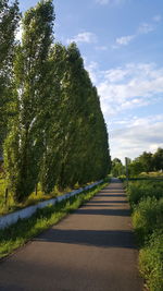 Road amidst trees against sky