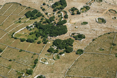 High angle view of agricultural field