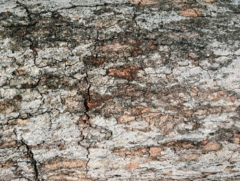Full frame shot of weathered wall