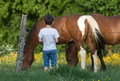 Little boy in front of a field with horses