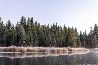 Scenic view of lake against clear sky