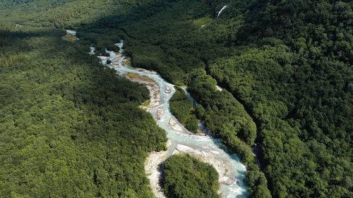 High angle view of road amidst trees