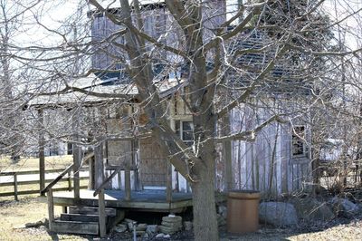 View of bare trees and building during winter