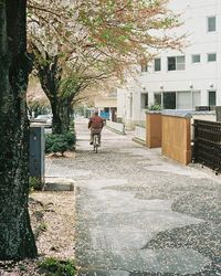 People walking on footpath in forest