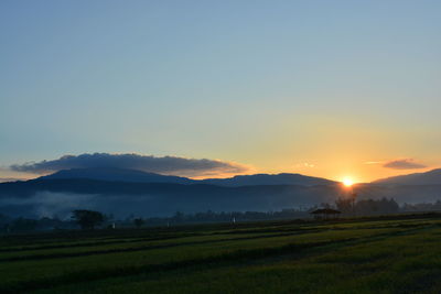 Scenic view of field against sky during sunset