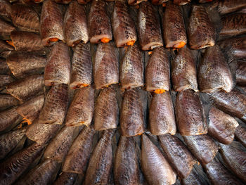 Close-up of fish on barbecue grill