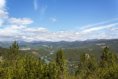 Scenic view of landscape against sky