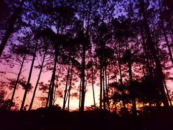 Low angle view of silhouette trees against sky during sunset