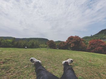 View of a horse on field