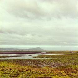 Scenic view of landscape against cloudy sky