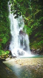 Scenic view of waterfall