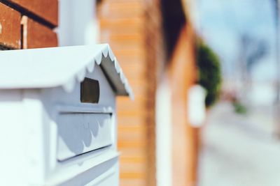 Close-up of plant against blurred background