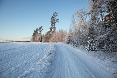 A beautiful winter day landscape of a gravel road near the forest. snow covered scenery.