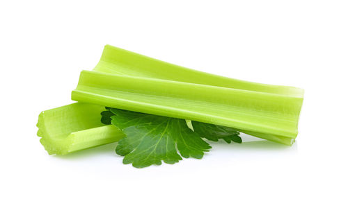 Close-up of green leaf against white background