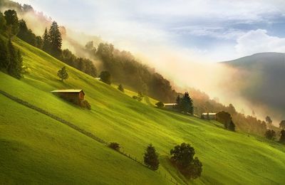 High angle view of rural landscape