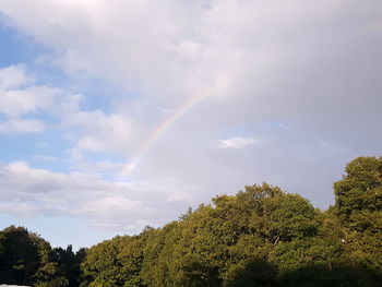 Low angle view of trees against rainbow in sky