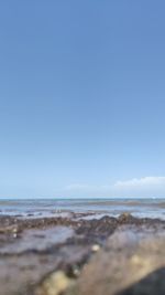 Surface level of beach against clear blue sky