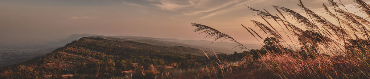 Scenic view of field against sky during sunset