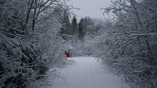 Person walking on snow covered land