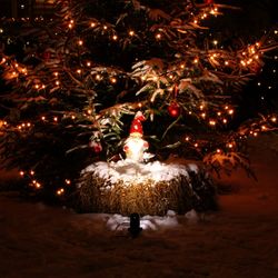 Illuminated christmas tree at night