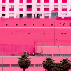 Low angle view of palm tree against building