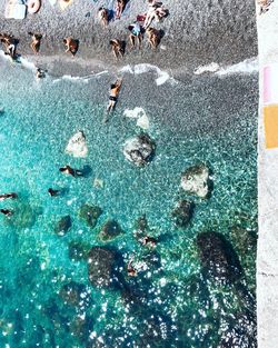 High angle view of people swimming in pool