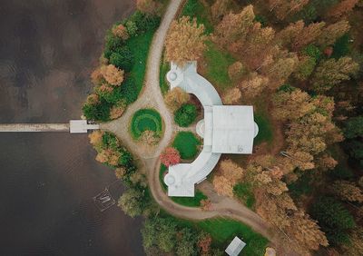 High angle view of plant by road against trees