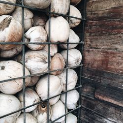 Close-up of coconuts by fence
