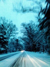 Road passing through bare trees