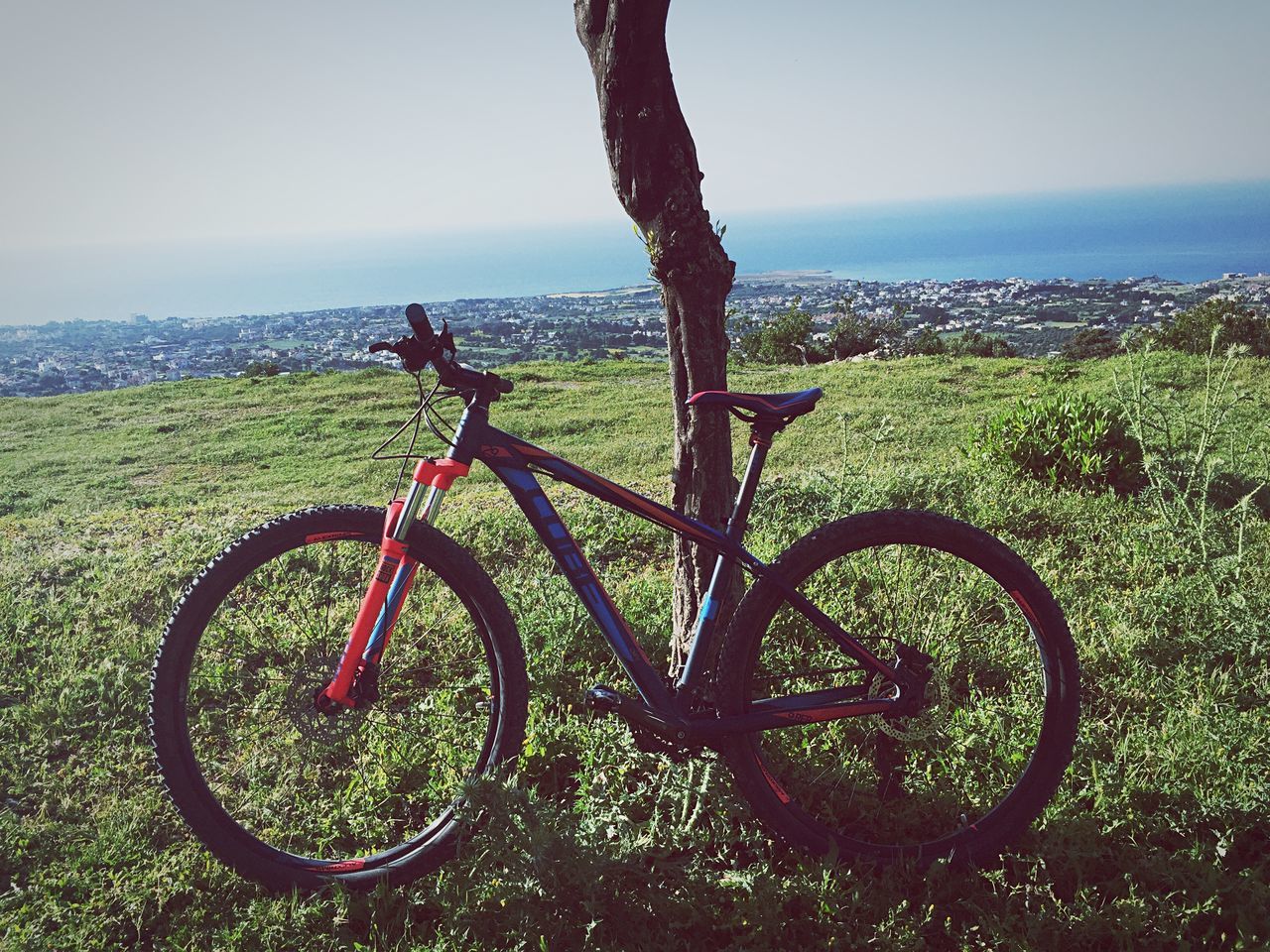 bicycle, tranquility, tranquil scene, beauty in nature, sea, horizon over water, nature, clear sky, scenics, water, plant, growth, mode of transport, sky, land vehicle, transportation, tree, landscape, grass, day