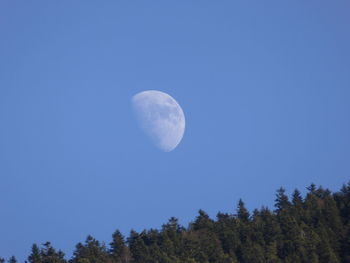 Low angle view of moon against clear blue sky