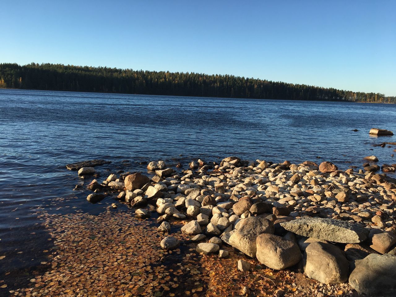 water, clear sky, tranquil scene, scenics, beauty in nature, blue, tranquility, lake, tree, lakeshore, nature, shore, seascape, non-urban scene, day, outdoors, sea, no people, large group of objects, abundance, tourism, coastline, heap