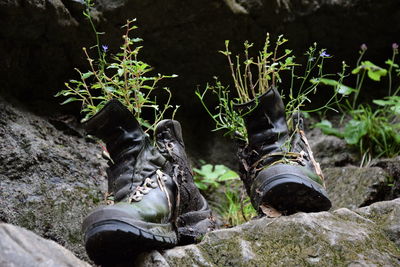 View of shoes at rock