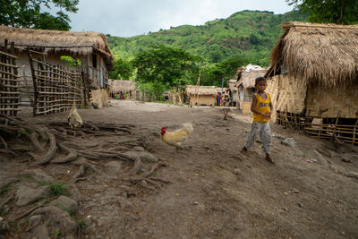 Scenic view of agricultural farm