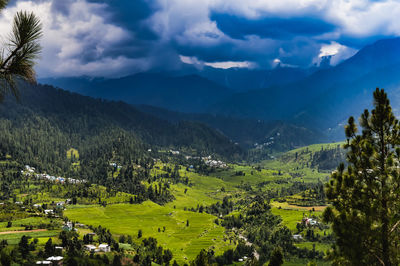 Trees on landscape against cloudy sky