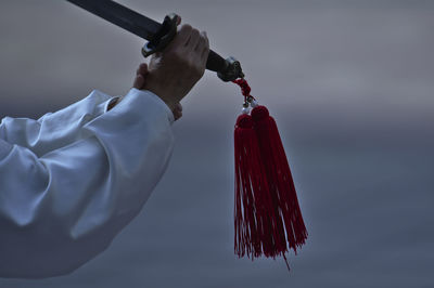 Close-up of hand holding umbrella